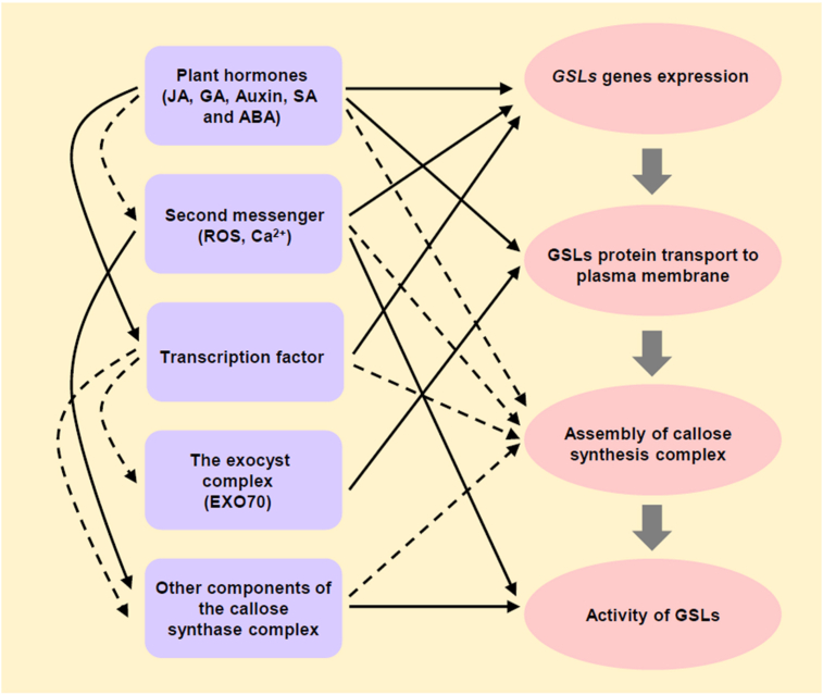 Figure 2
