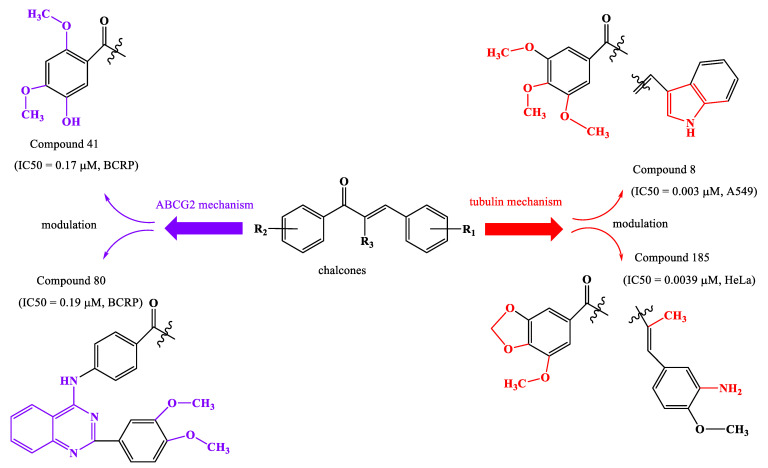 Figure 13