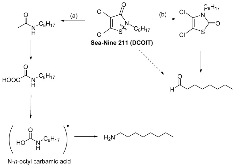 Scheme 12