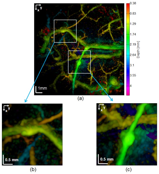 Fig. 12