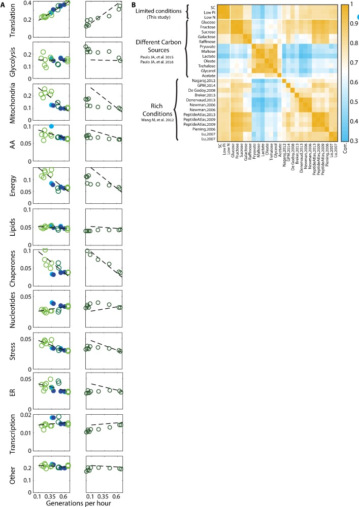 Figure 1—figure supplement 1.