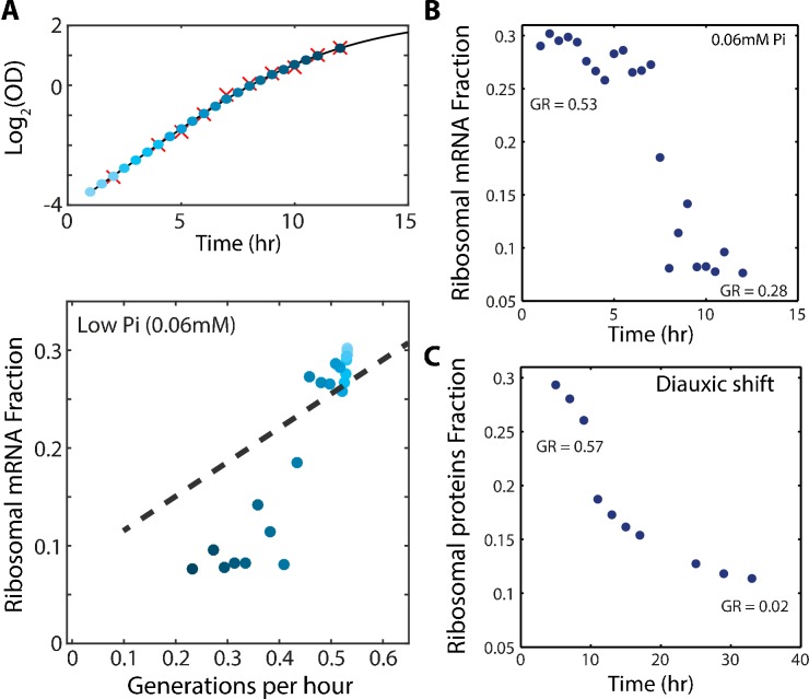 Figure 4—figure supplement 1.