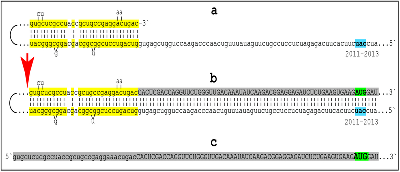 Figure 3: