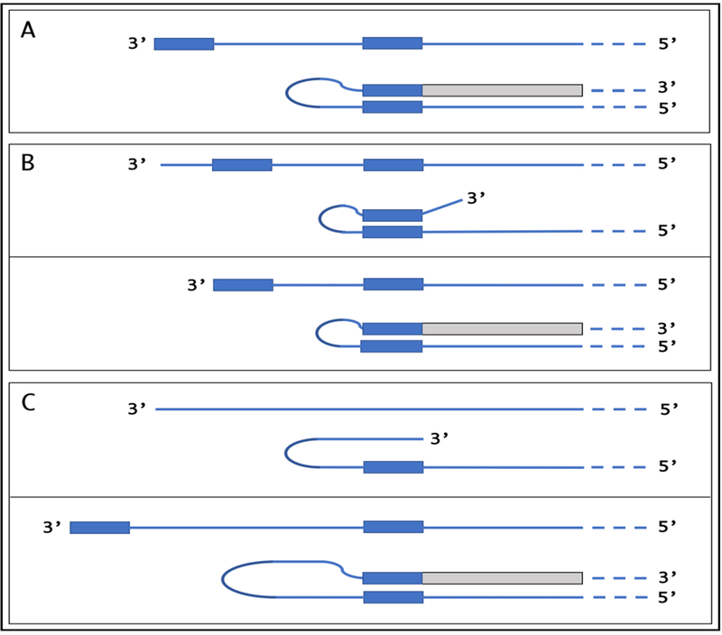 Figure 4: