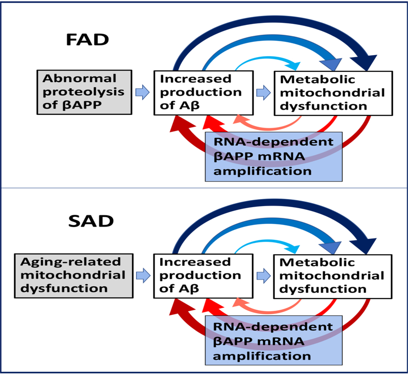 Figure 5: