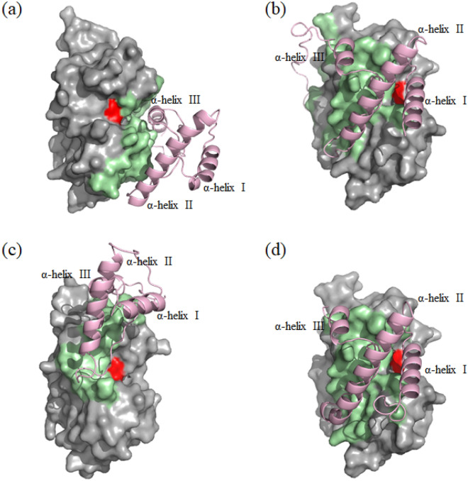 Figure 7