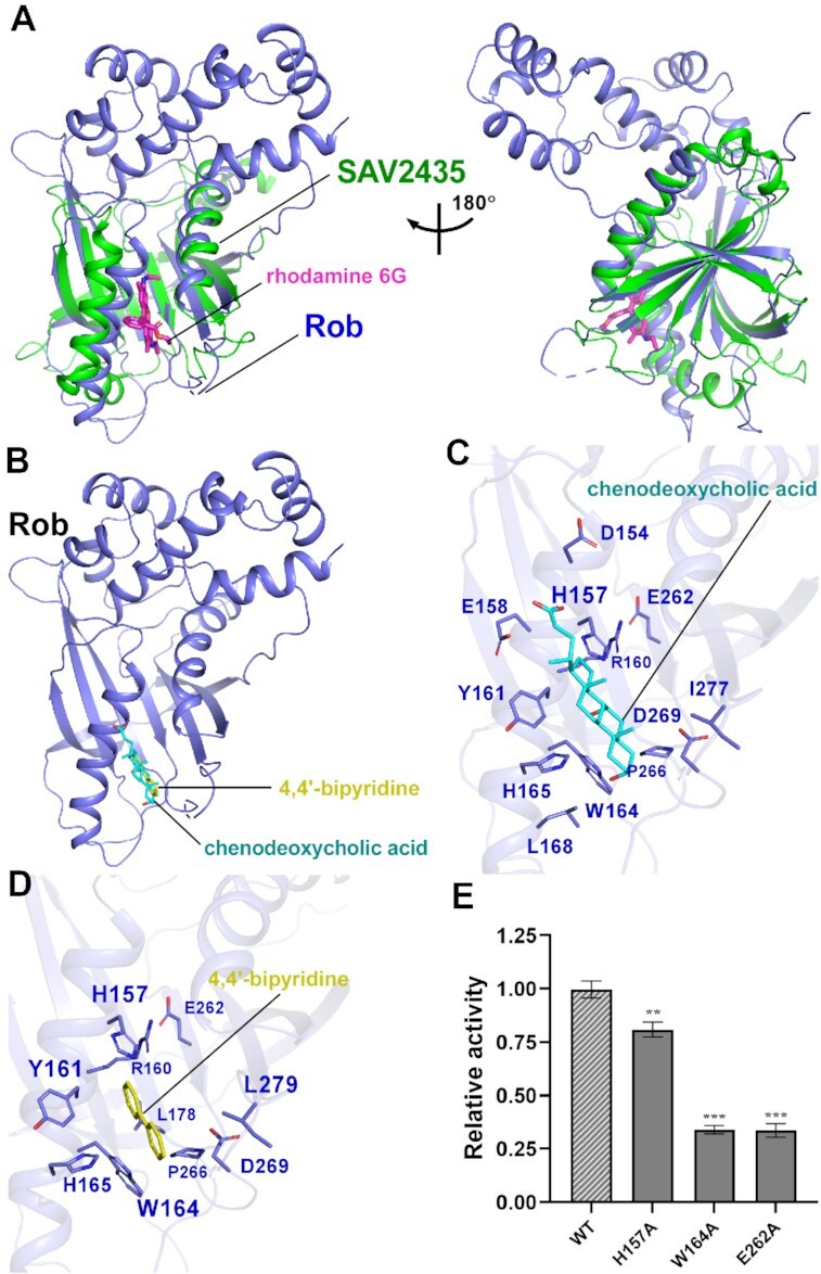 Figure 5.