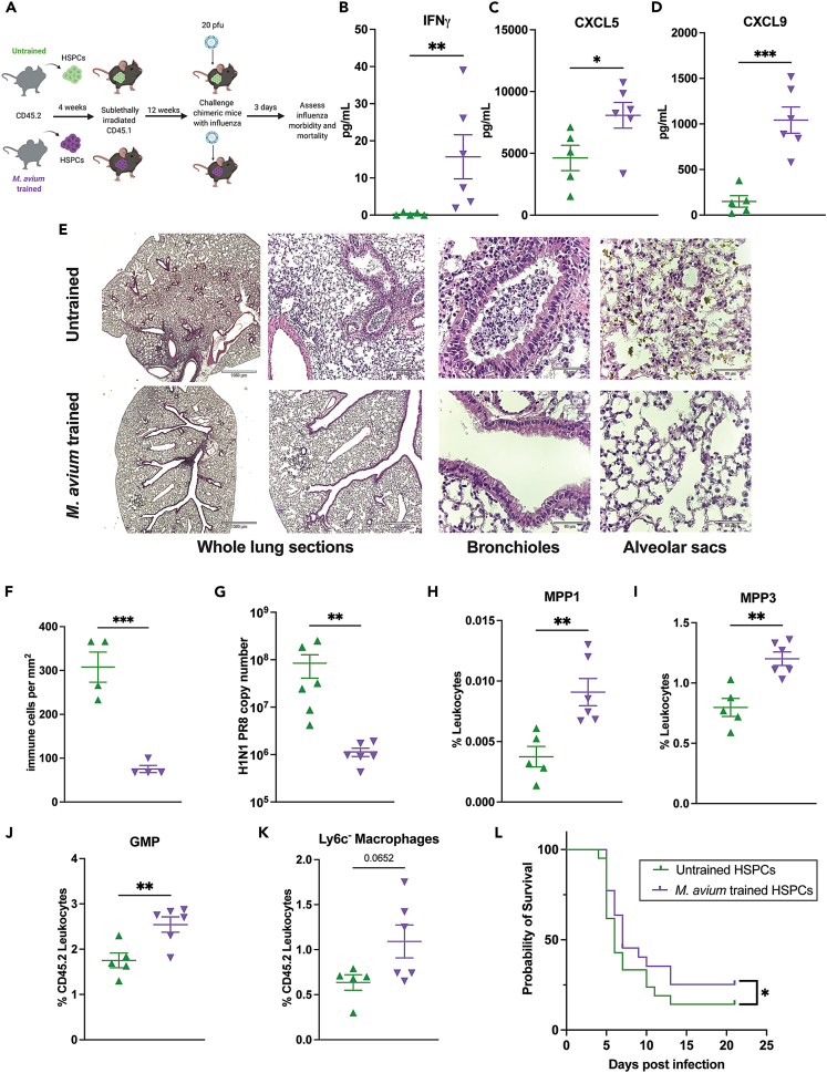 Figure 6