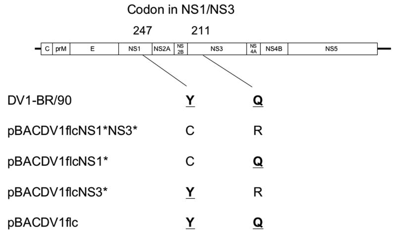 Fig.3