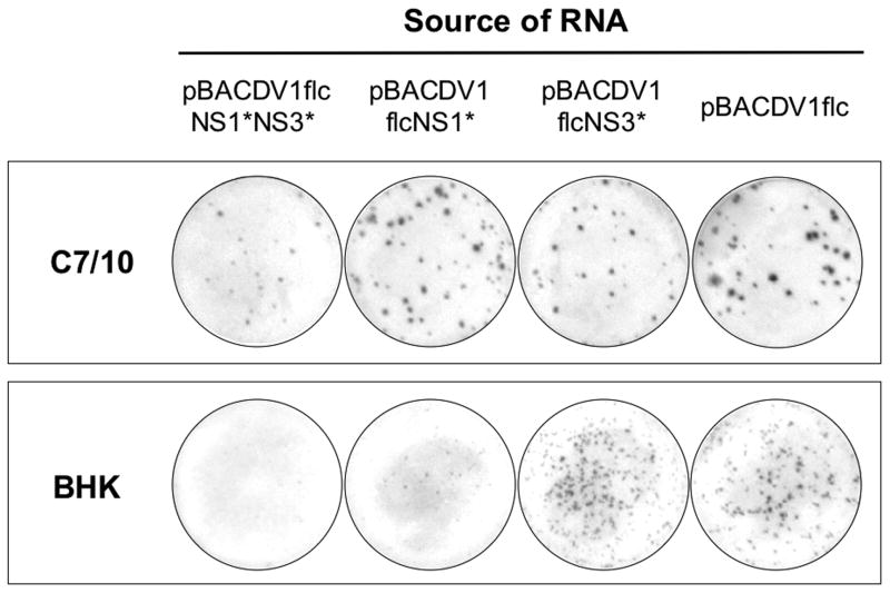 Fig.3