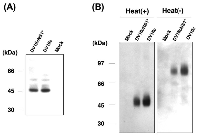 Fig.8