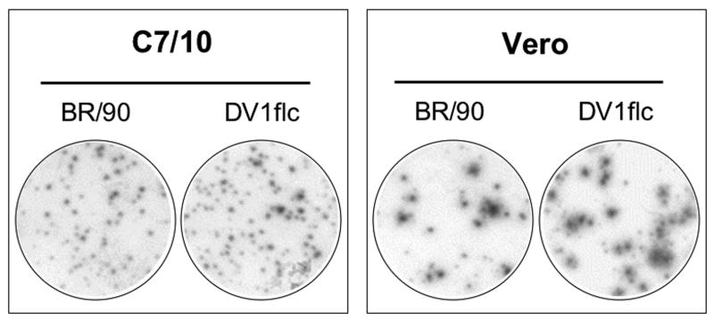 Fig.3