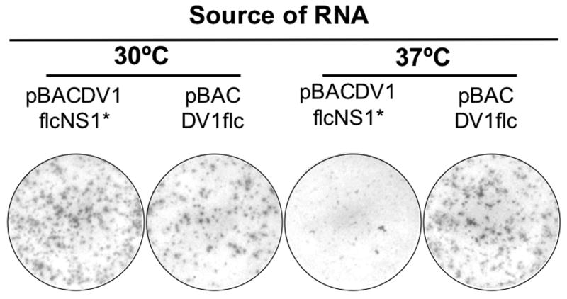 Fig.4