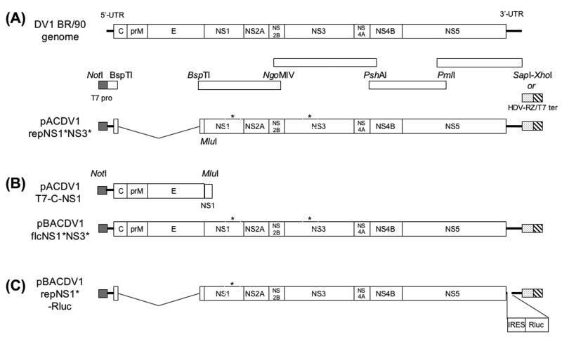 Fig.1