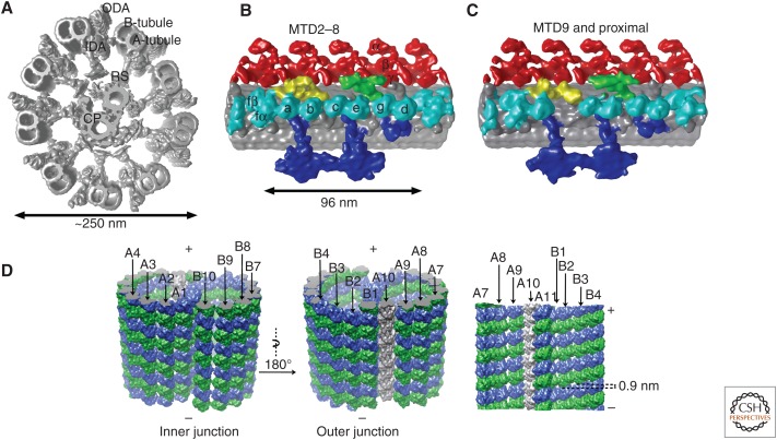 Figure 2.