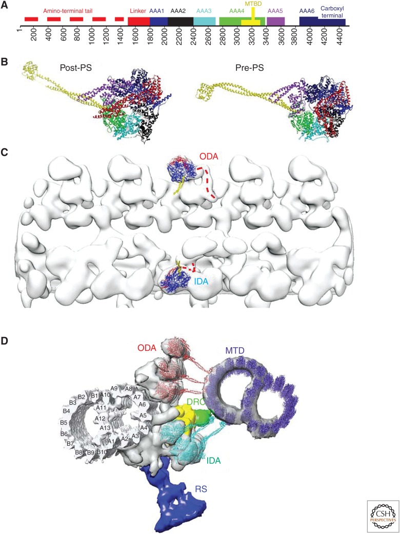 Figure 3.