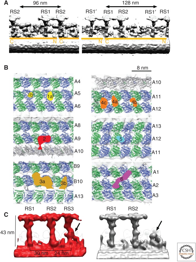 Figure 5.