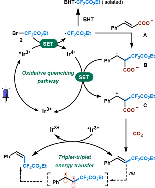 Scheme 2