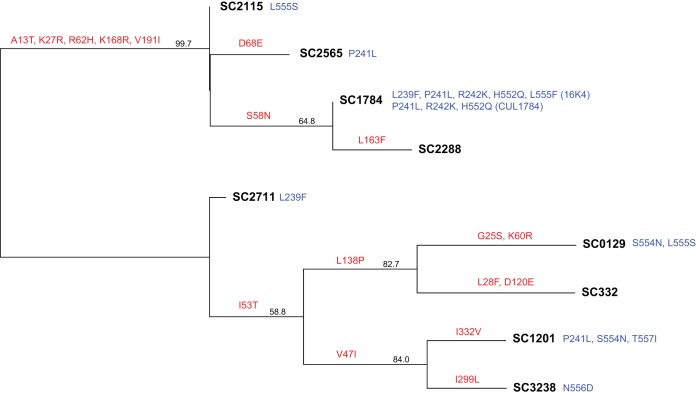 FIG 2 