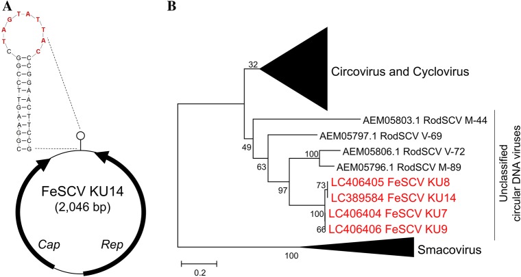 Fig. 1