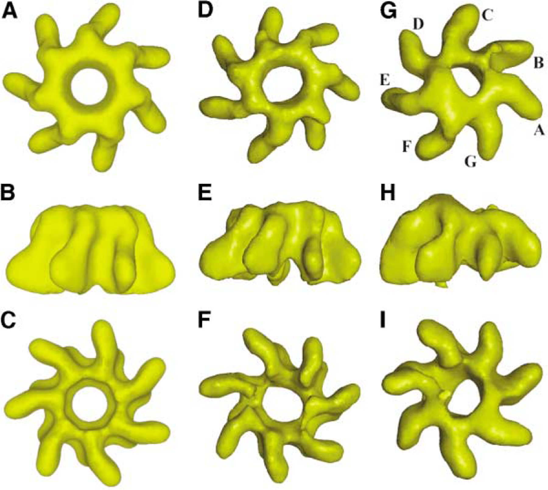 Figure 3.