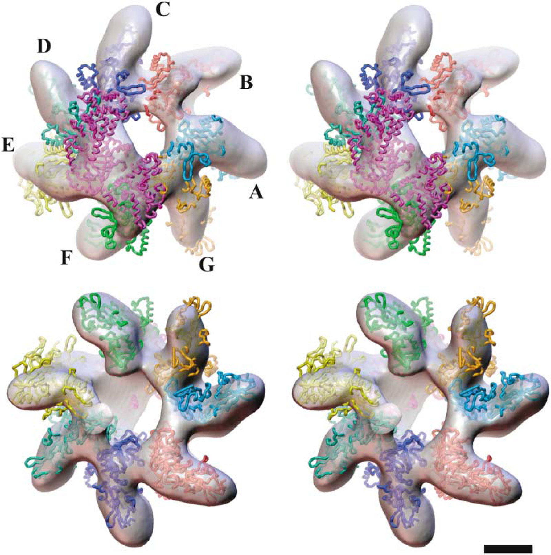 Figure 4.