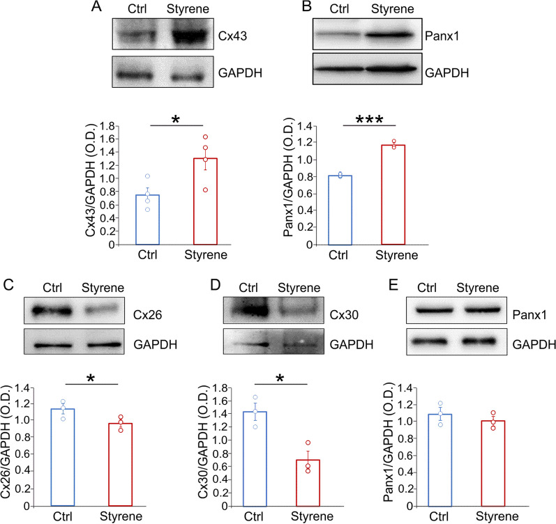 Fig. 9