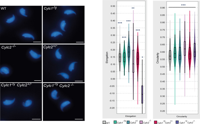 Figure 2—figure supplement 3.