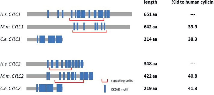 Figure 1—figure supplement 1.