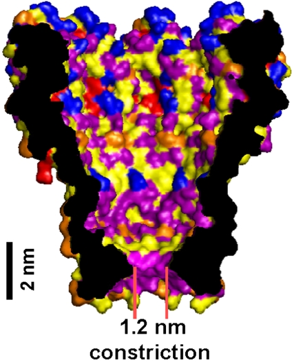 Fig. 1.