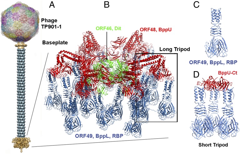 Fig. 1.