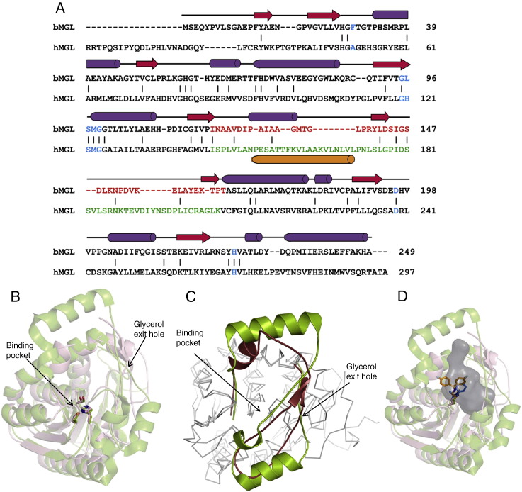 Fig. 7