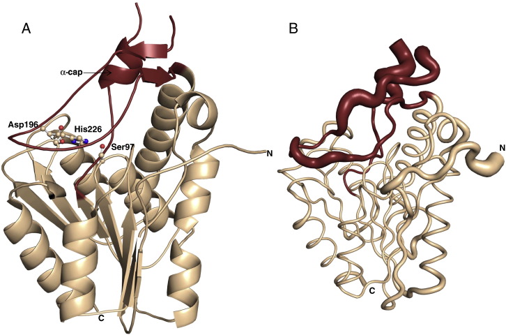 Fig. 1