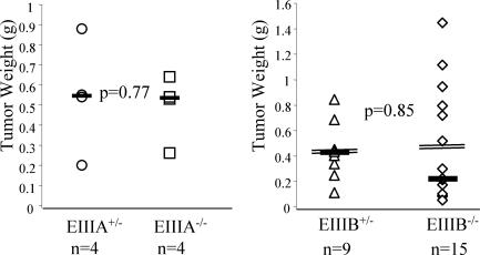 FIG. 9.