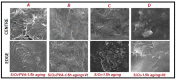 Figure 24