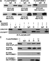 Fig. 8.