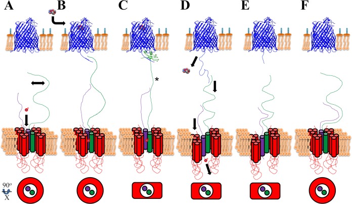 FIG 6