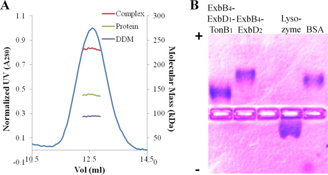 FIG 3