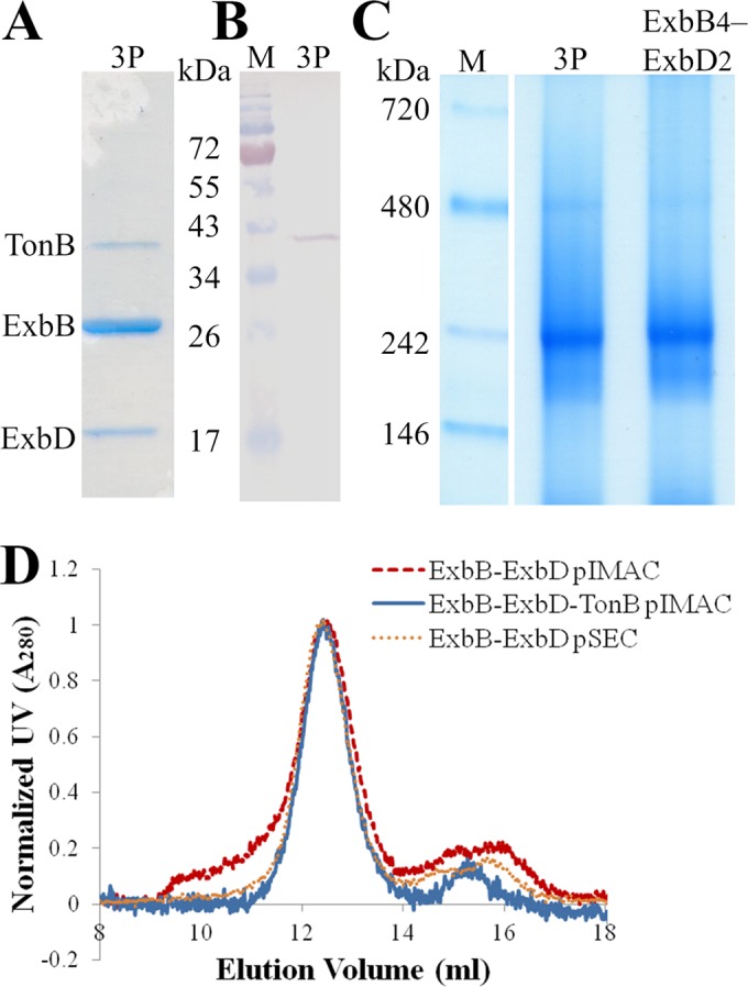 FIG 2