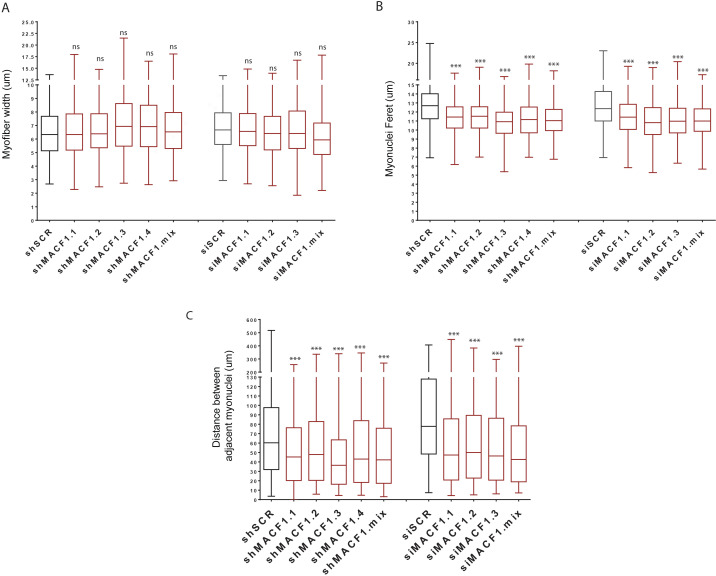 Figure 1—figure supplement 2.