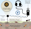 A basic soil ecoacoustics field recording set-up.
