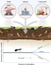 Sources of anthrophony/technophony that could potentially impact soil biota and ecological functions.
