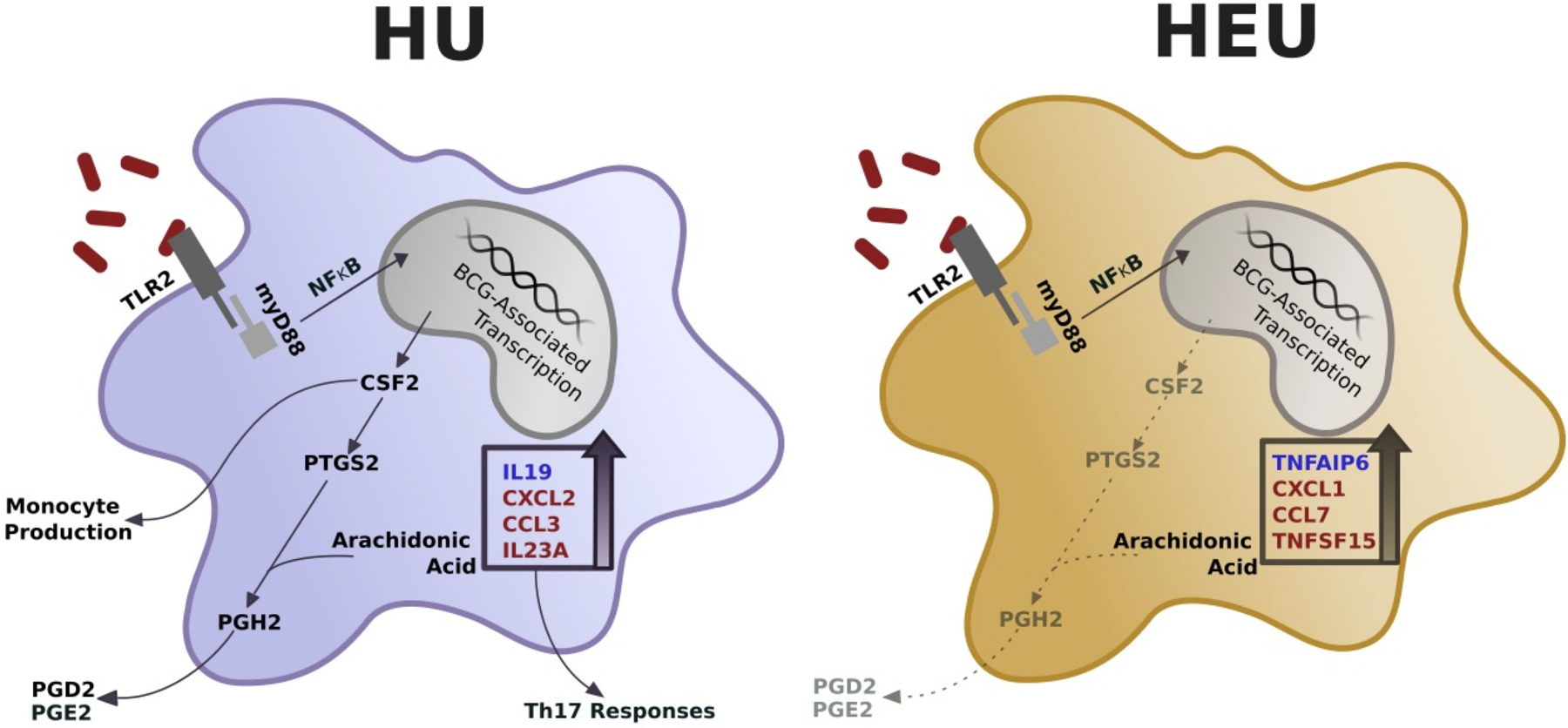 Figure 5: