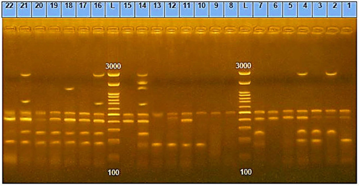 Figure 4