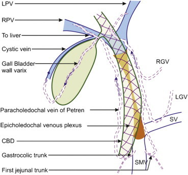 Figure 7