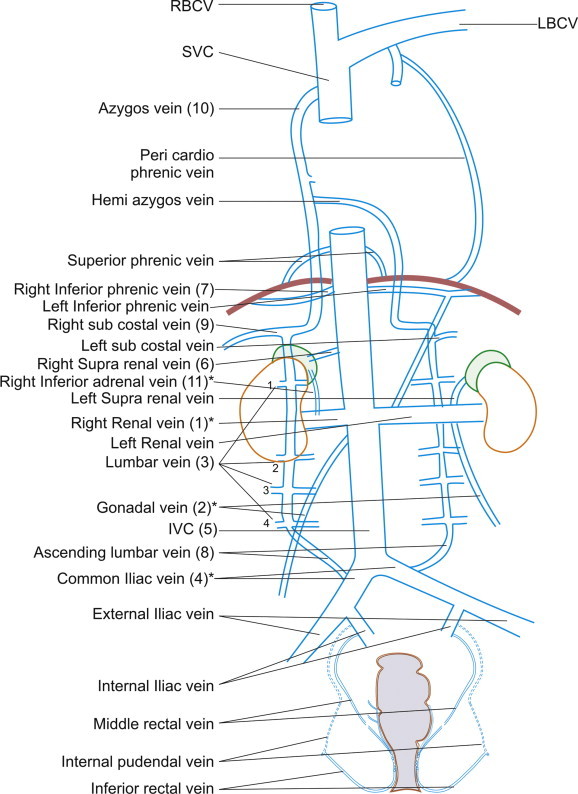 Figure 6