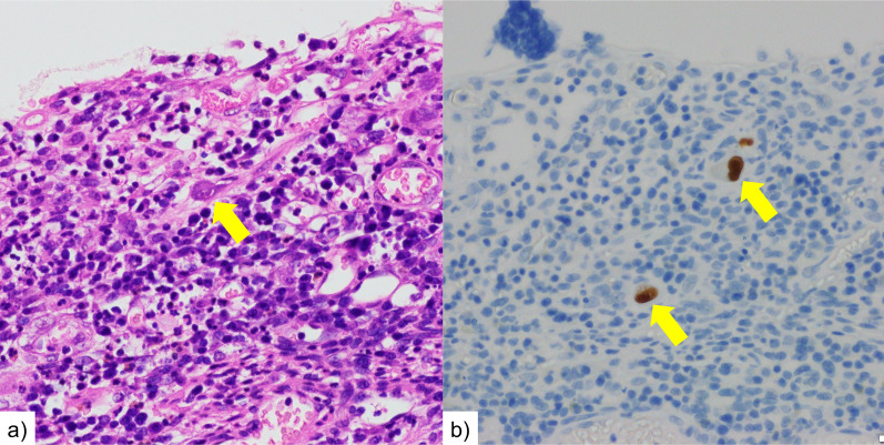 Fig. 7