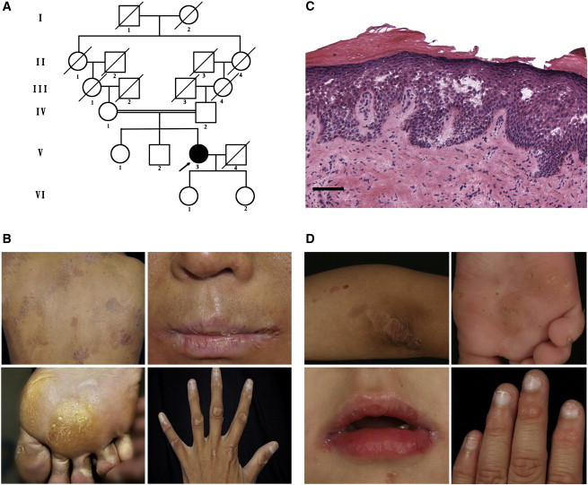 Figure 1