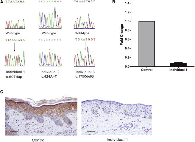 Figure 2