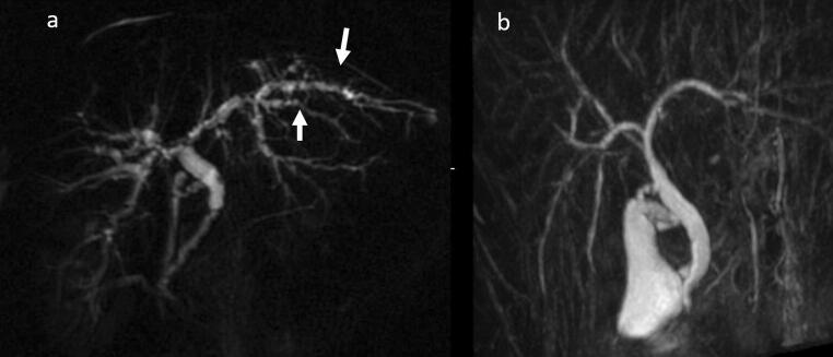 Fig. 6